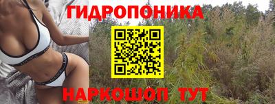 ГАЛЛЮЦИНОГЕННЫЕ ГРИБЫ Кинель