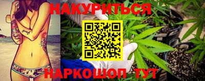 мяу мяу мука Кингисепп