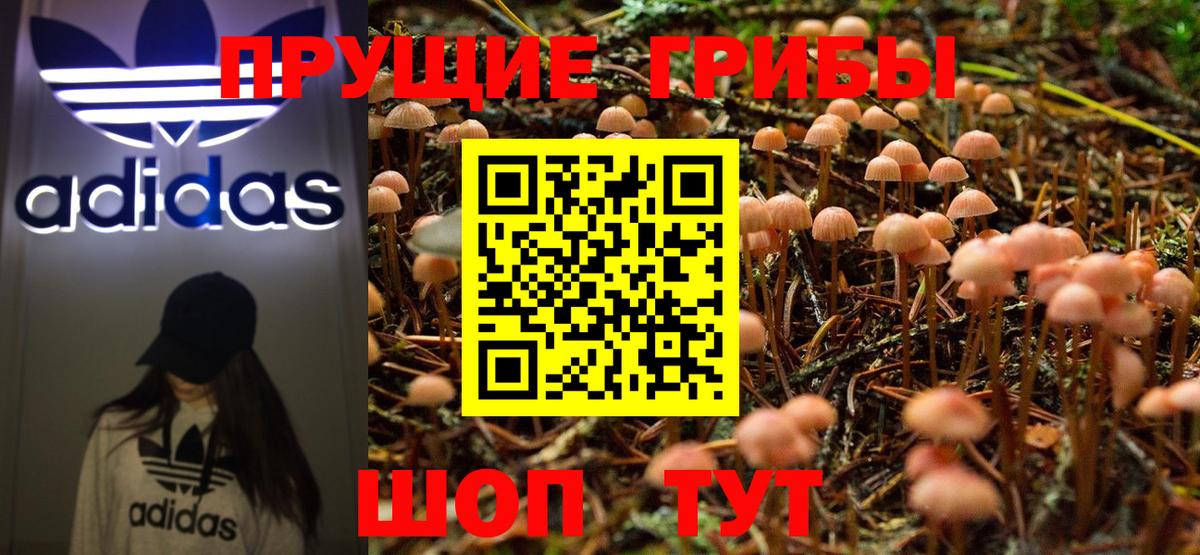 Псилоцибиновые грибы MAGIC MUSHROOMS  Вход с VPN  Когалым  Псилоцибиновые грибы MAGIC MUSHROOMS 